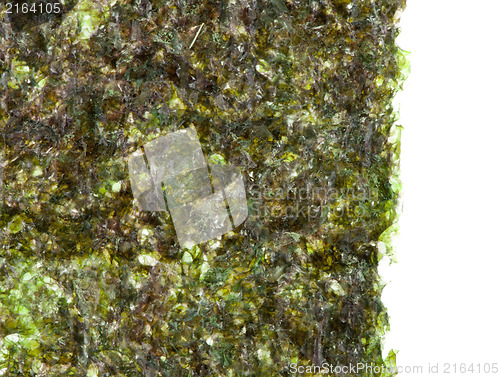 Image of Green algae nori