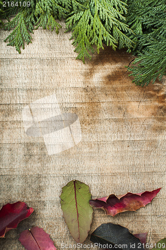 Image of Wood and fir branches background