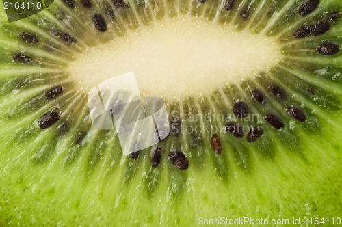 Image of Kiwi fruit close up background
