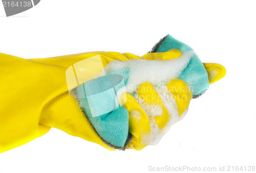 Image of Sponge for washing dishes