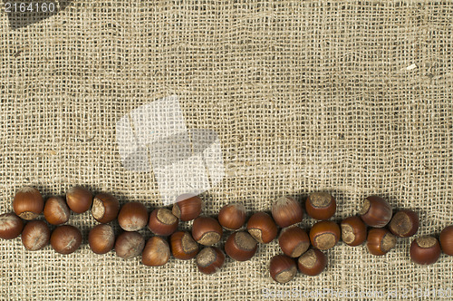 Image of Closeup hazelnuts on burlap