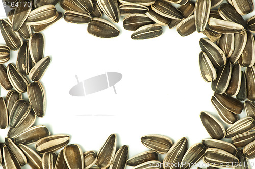 Image of Raw sunflower seed