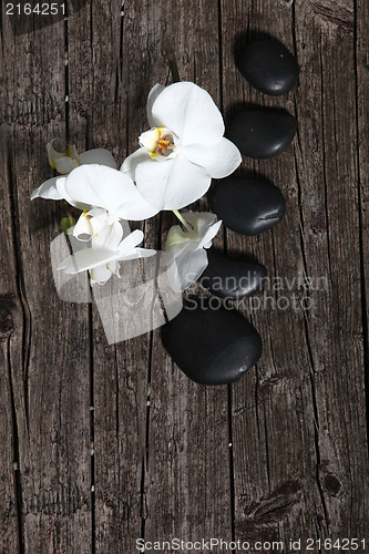 Image of decorative arrangement with white flower