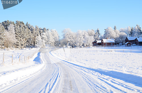 Image of White frost