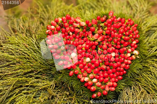 Image of Heart of the mountain ash