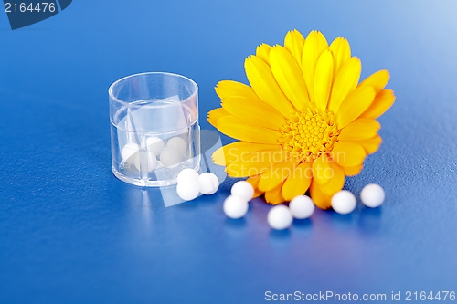 Image of Calendula Officinalis and homeopathic pills