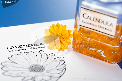 Image of Calendula Officinalis sheet, flower and plant extract