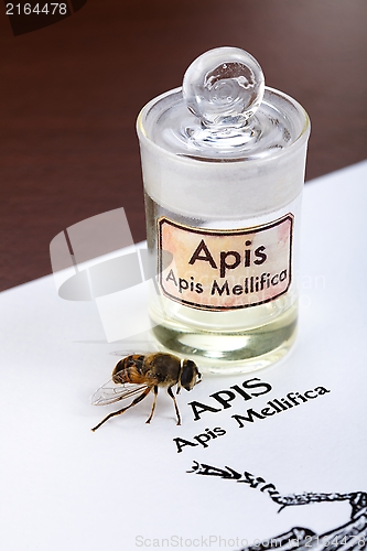 Image of Apis Mellifica sheet, the bee and poison extract