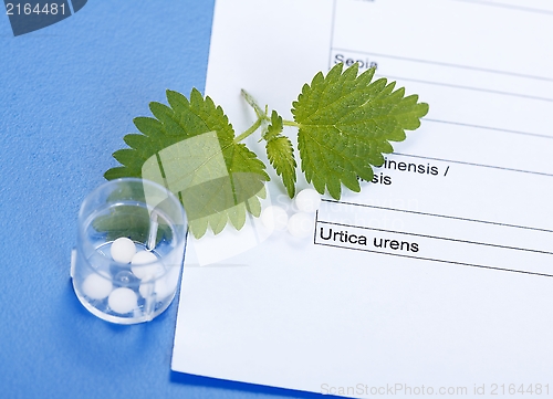 Image of Urica Urens and pills on homeopathic sheet