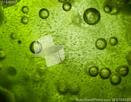 Image of Spirulina ice