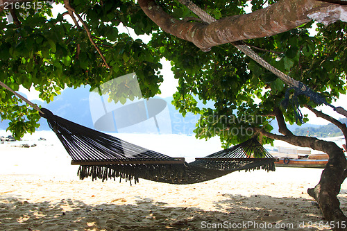 Image of Beautiful bay of Phi Phi island Thailand