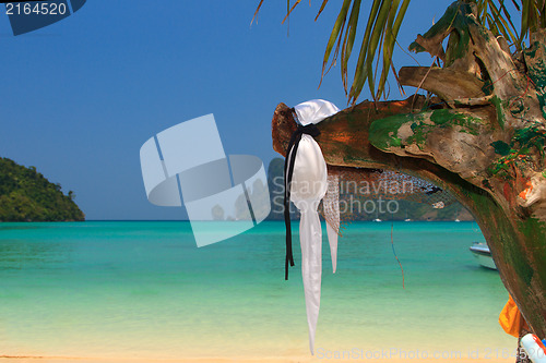 Image of Beautiful bay of Phi Phi island Thailand