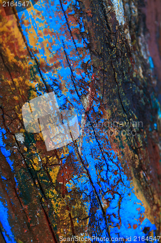 Image of Old wood log 