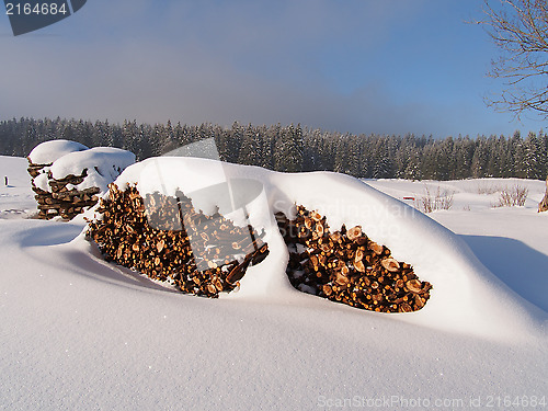 Image of snow covered pile of logs
