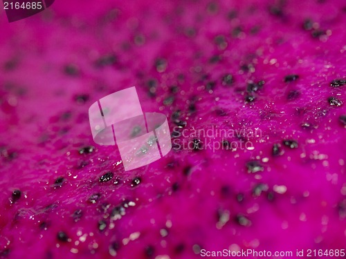 Image of Dragon fruit background