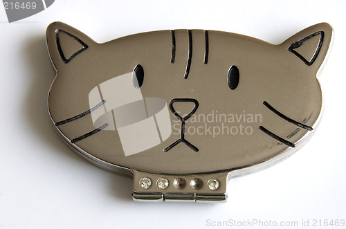 Image of cat mirror