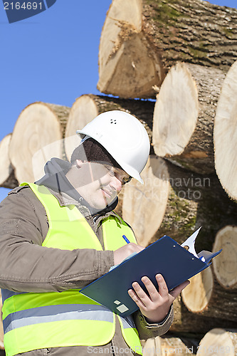Image of Forester writing near  at the log pile