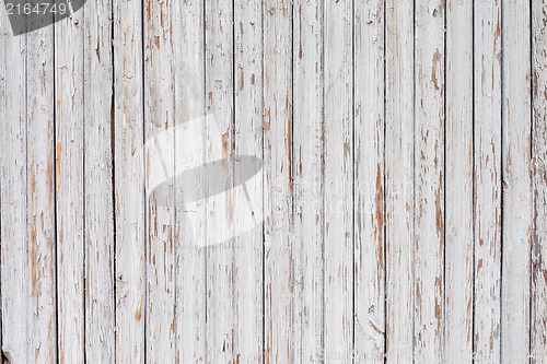 Image of grungy white background of natural wood