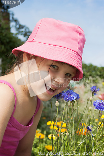 Image of A little girl in a meadow