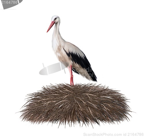 Image of stork in its nest. Spring. illustration on white background.