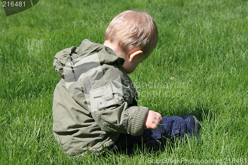 Image of Child in a meadow