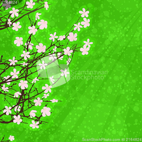 Image of Spring floral card