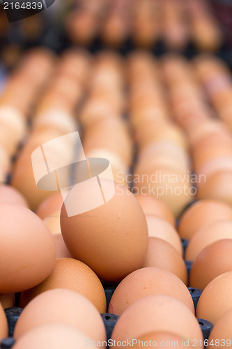 Image of Eggs at the market