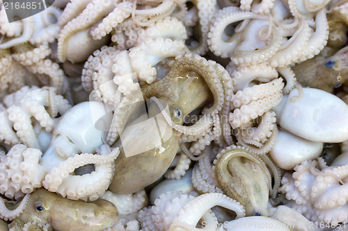 Image of Fresh squids display in the basket fresh seafood in the market