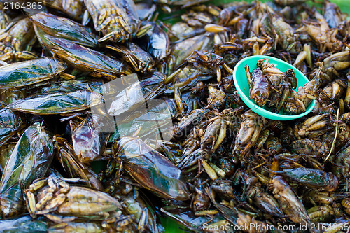 Image of Insects as snack food in Thailand