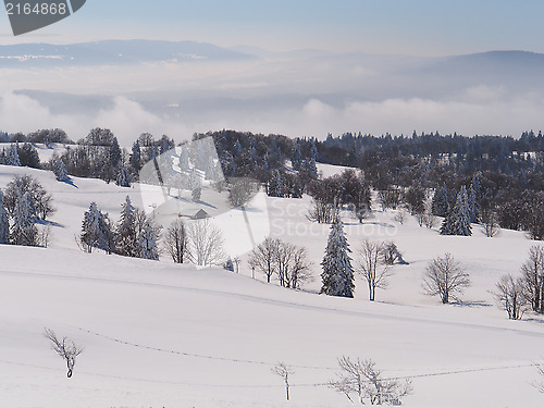 Image of Jura Mountain in Winter, mont d or area