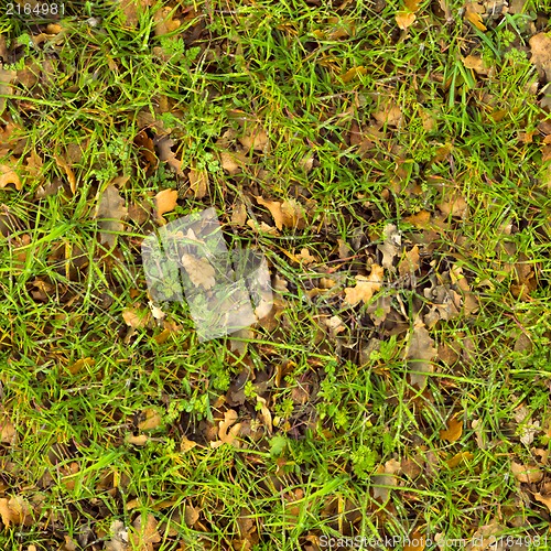 Image of Forest Soil. Seamless Texture.