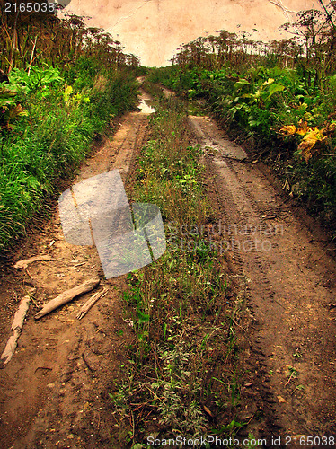 Image of Old dirt road overgrown with wild grass.