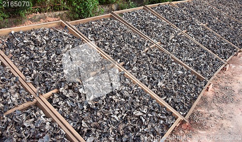 Image of mushrooms drying in the sun