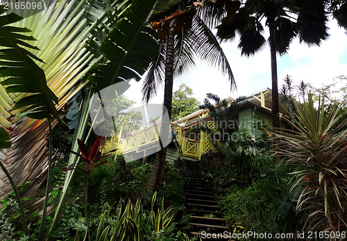 Image of caribbean scenery