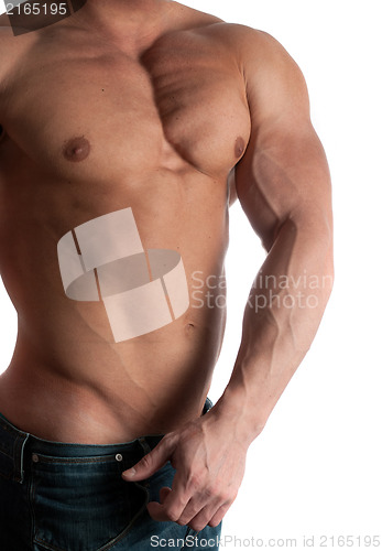 Image of bodybuilder