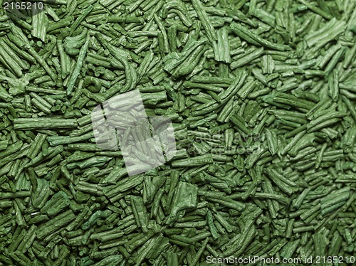 Image of Spirulina background