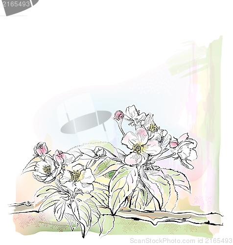 Image of sketch of apple tree in bloom