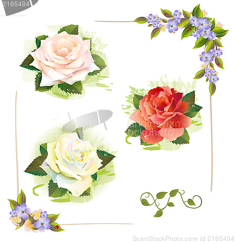 Image of Set of roses. Vintage style. Imitation of watercolor painting.