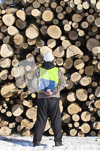Image of Forester with folder an opposite logs off the pile