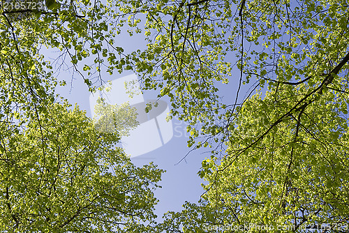 Image of Springtime in Denmark