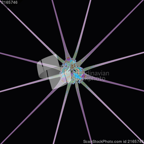 Image of Shiny Star