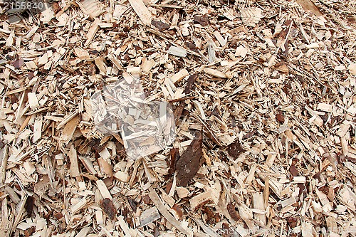 Image of Background of Wood Chip