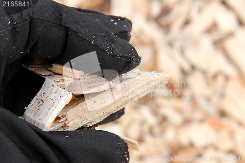 Image of Wood Chips in a Woman's Hand