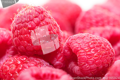Image of Ripe Berry Red Raspberry