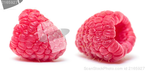 Image of Ripe Berry Red Raspberry