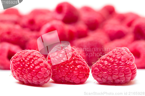 Image of Ripe Berry Red Raspberry