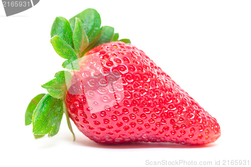 Image of Ripe Berry Red Strawberry