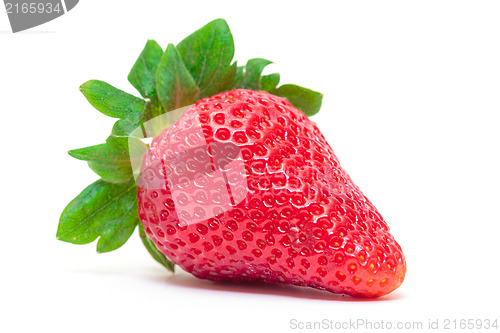 Image of Ripe Berry Red Strawberry