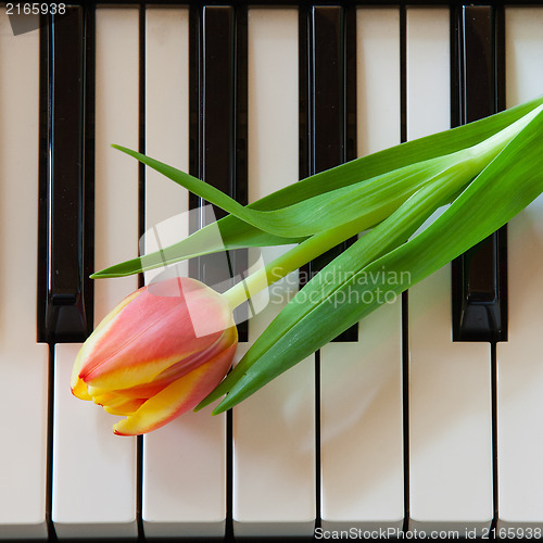 Image of Music and flowers