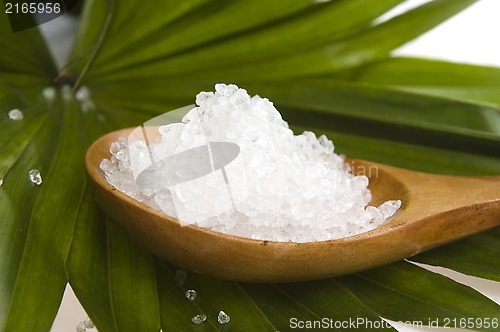 Image of bath salt and palm leaf 